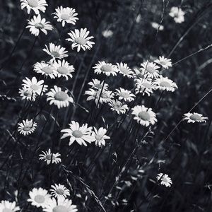 Meet your Posher, Lee-ann